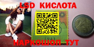 индика Кунгур