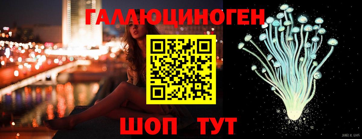 Галлюциногенные грибы Psilocybe Карачаевск